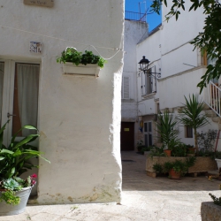 Locorotondo enchanting and harmonious