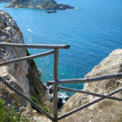 THE TREMITI ISLANDS