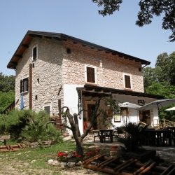 Foresta Umbra, the natural forest of the gargano
