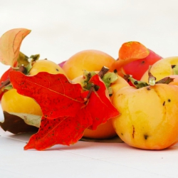  Autumn in the Trulli Valley