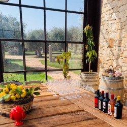 Tour Enogastronomico Terre di San Vito