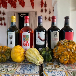 Tour Enogastronomico Terre di San Vito