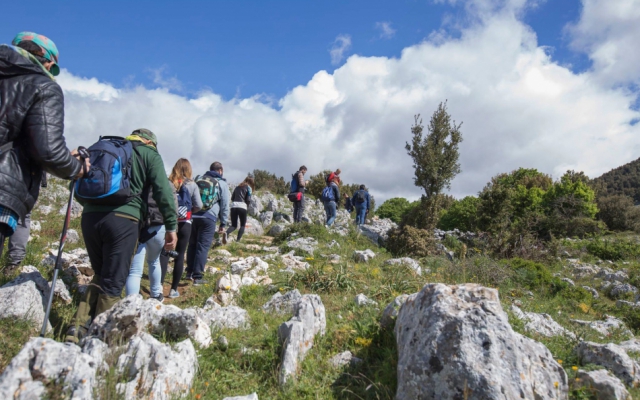 Summer on the Gargano: Nature, Sea, and Relaxation