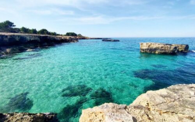 BARI ON SUMMER