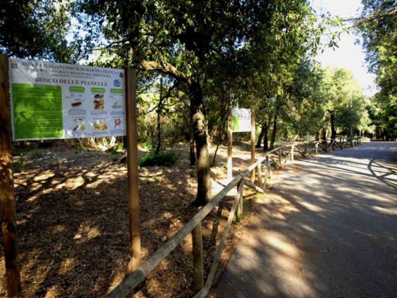 Trekking, immersi nella natura rigogliosa