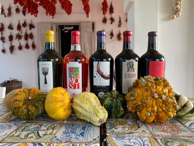 Tour Enogastronomico Terre di San Vito