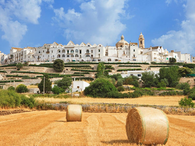 How to Photograph the Valle d'Itria: The Most Iconic Spots for Photography Lovers