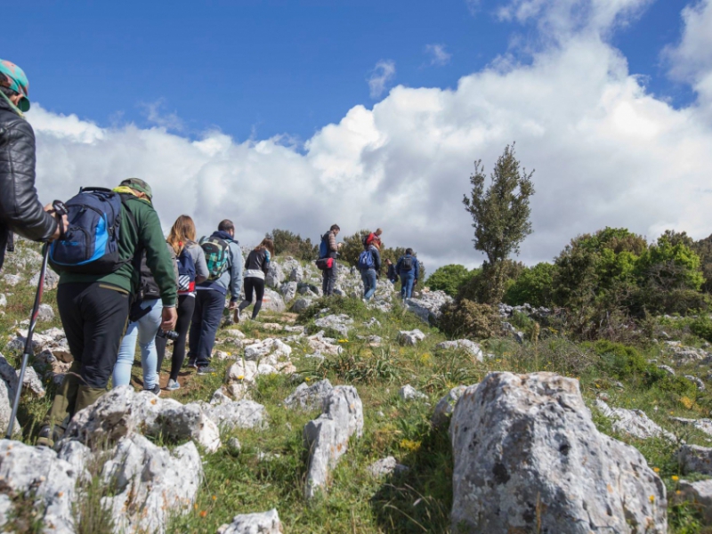 Summer on the Gargano: Nature, Sea, and Relaxation