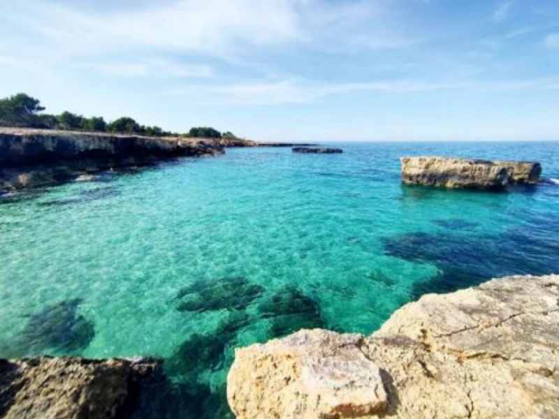 BARI ON SUMMER