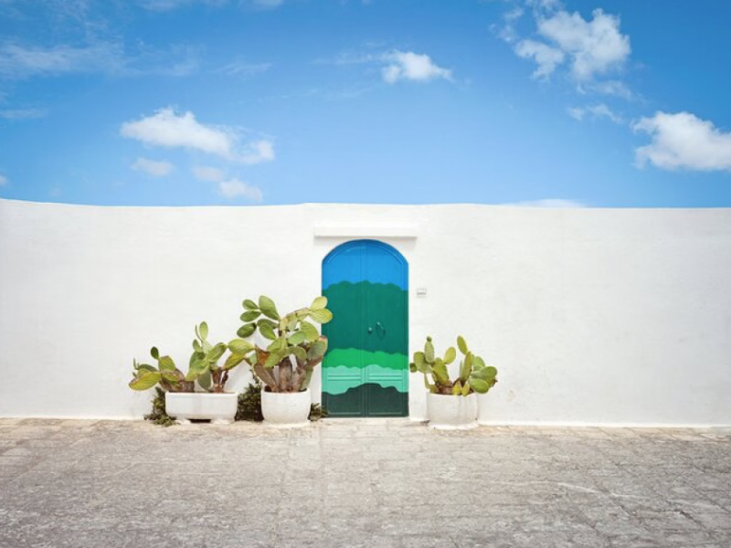Ostuni, Cisternino and Polignano Small-Group Day Trip from Bari