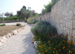Common areas