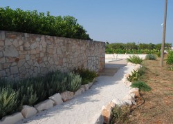 Common areas