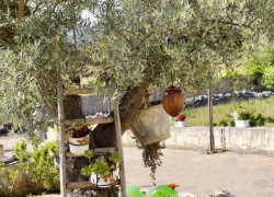 External spaces Trulli Sole